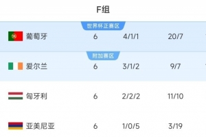 逆天改命！愛(ài)爾蘭世預(yù)賽前3輪僅拿1分，近3輪均取勝獲附加賽資格