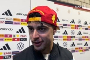 德國爭奪世界杯冠軍？帕夫洛維奇：如果像今天這樣踢就有機會