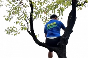 湘超聯(lián)賽推出“掛票”，球迷可坐在樹上看球但禁止“自掛東南枝”