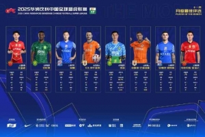 中超官方11月最佳候選：瓦科、吳曦、法比奧、王燊超在列