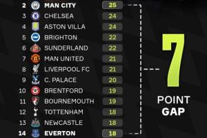 一場(chǎng)天堂一場(chǎng)地獄??賽季已過三分之一，英超第2與第14只差7分