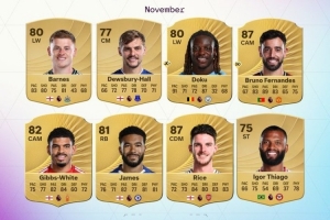 英超11月最佳球員候選：多庫、B費(fèi)、里斯·詹姆斯、賴斯在列