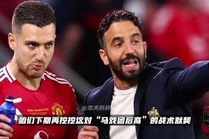 真關(guān)系戶??？阿莫林和達洛特是同一個祖先的后代