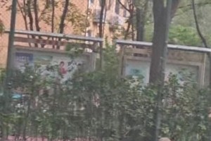 東契奇：詹哥我發(fā)毒誓我絕對沒有打假球！