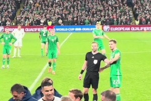 愛(ài)爾蘭主帥：C羅下場(chǎng)時(shí)對(duì)我說(shuō)是因?yàn)槲覍?duì)裁判施壓