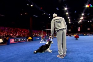 還有這種才藝？馬克西受邀參加訓(xùn)狗競(jìng)賽！小狗好像不太配合啊??