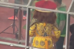 帝都吉祥物??！實(shí)拍：國(guó)安京獅“黃袍加身”慶祝足協(xié)杯冠軍